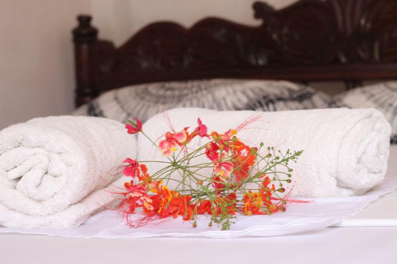 Bed & Breakfast Lounge Paje