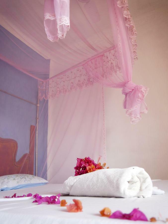 Lounge 3* Paje