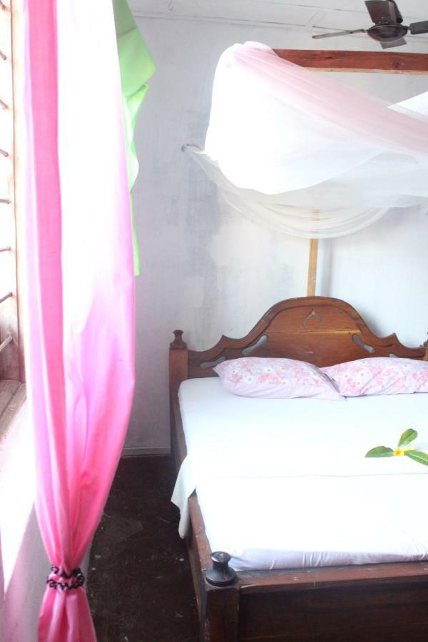 Lounge 3* Paje